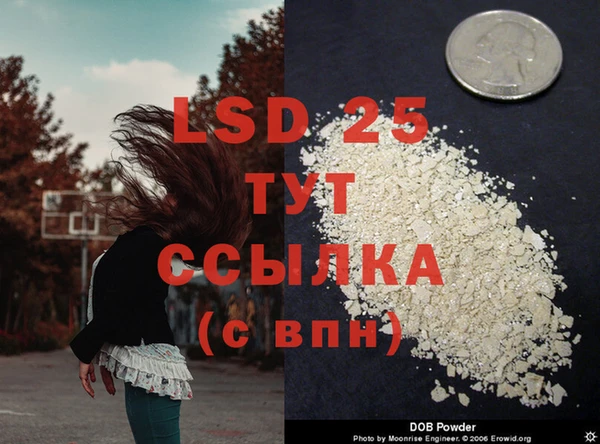 спиды Зеленокумск