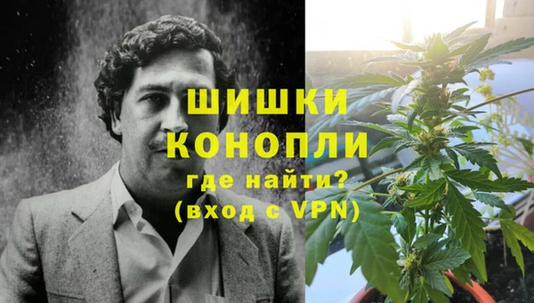 шишки Зеленодольск