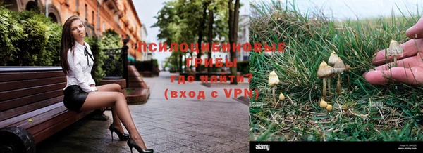 ПСИЛОЦИБИНОВЫЕ ГРИБЫ Зерноград